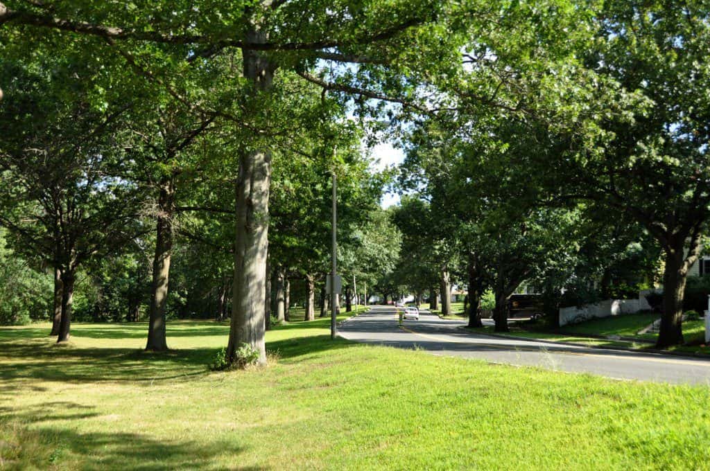 Mystic River Reservation