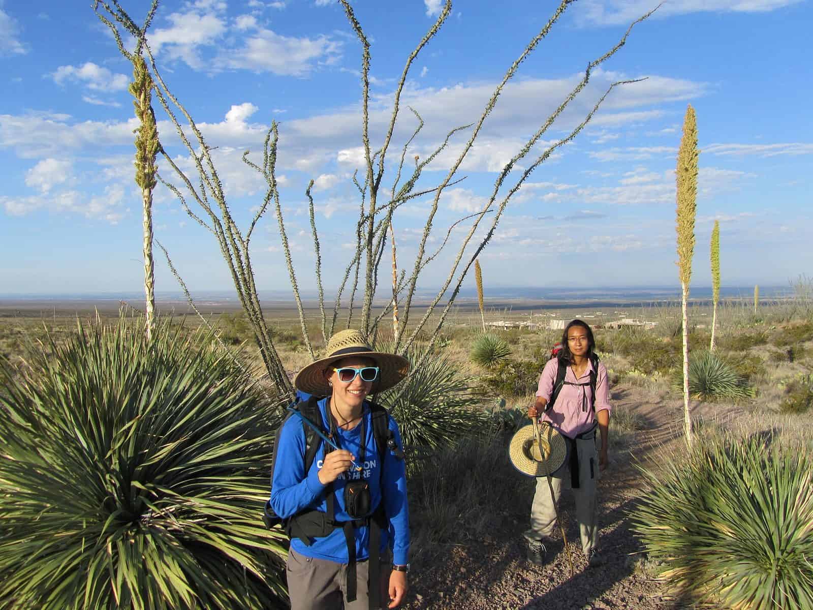 Organ Mountains-Desert Peaks National Monument