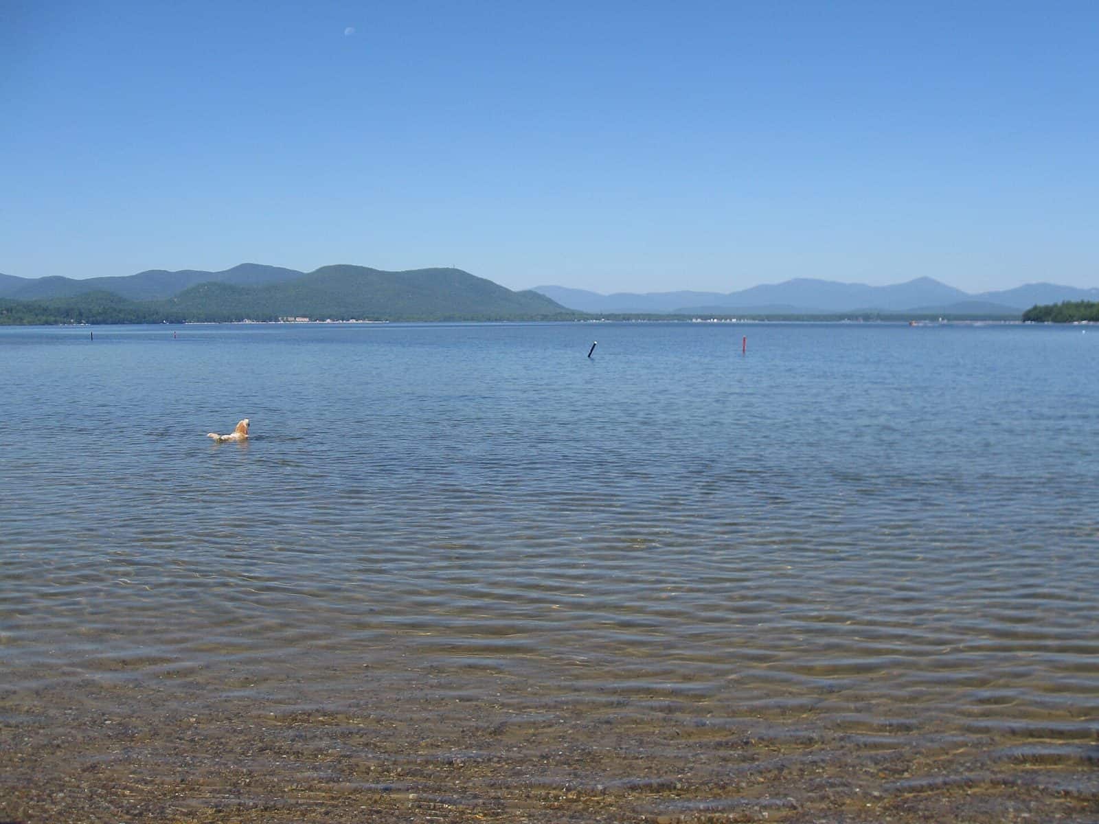 Ossipee Lake Natural Area