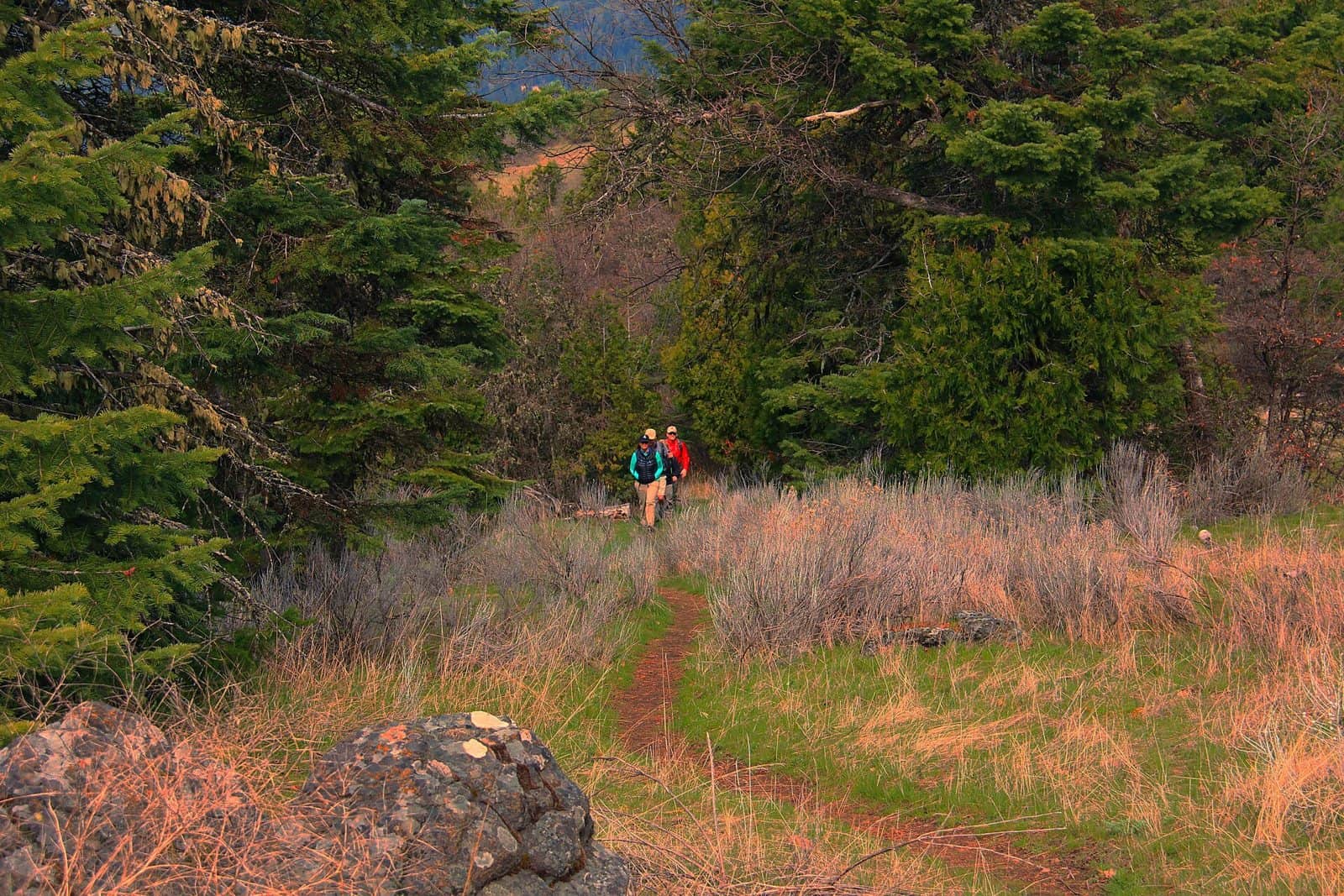 Pacific Crest Trail