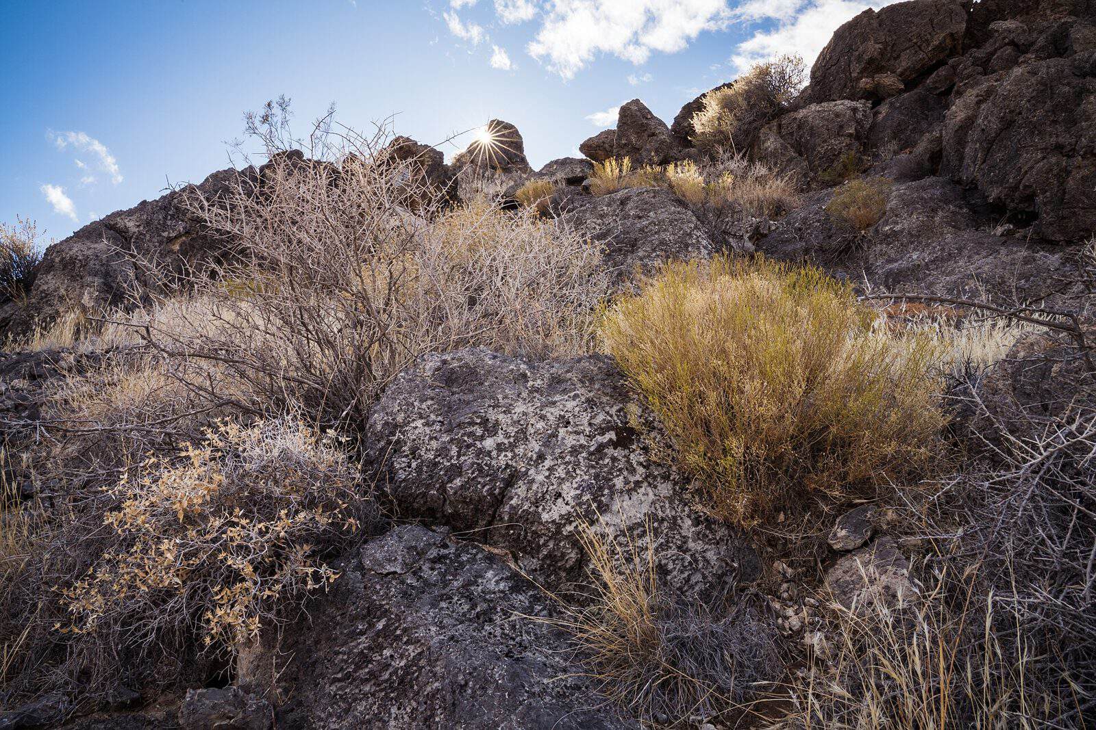 Pahrump Valley Wilderness