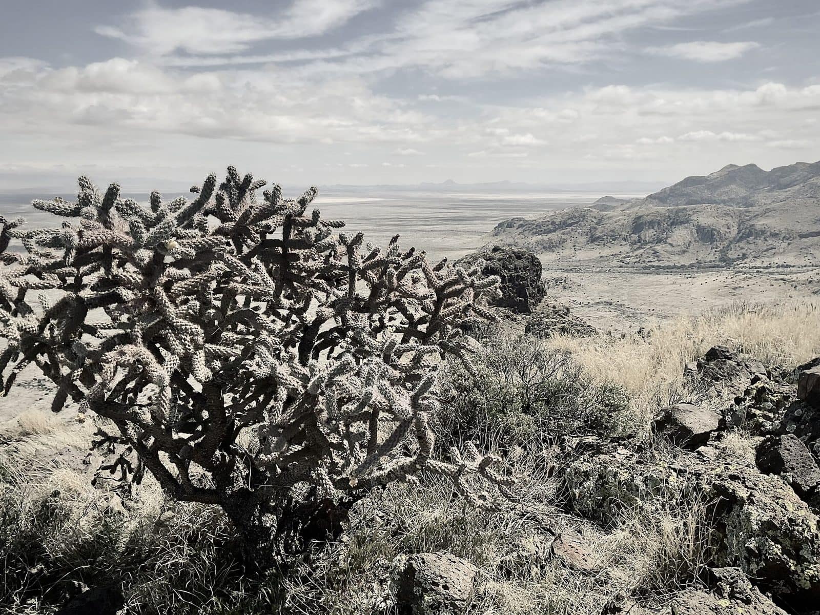 Peloncillo Mountains Wilderness
