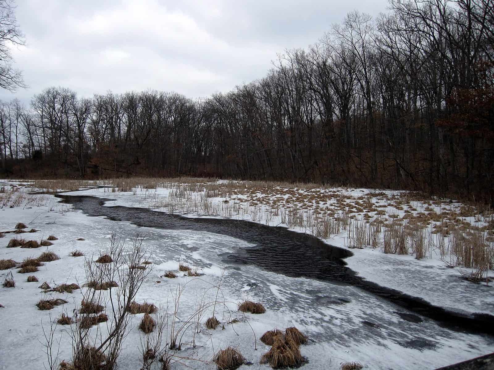 Pinckney State Recreation Area