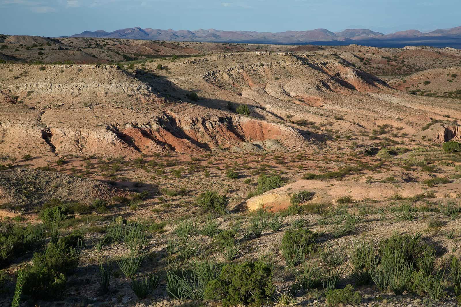 Presilla Wilderness Study Area