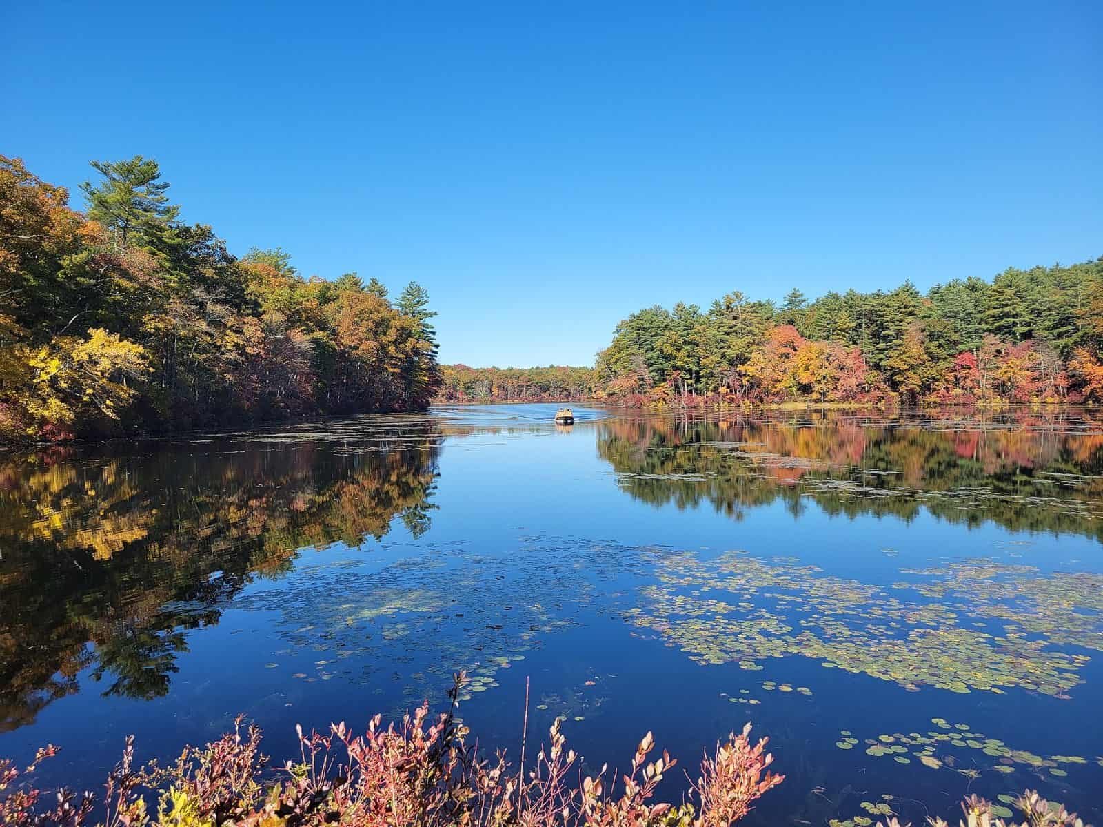 Quaddick State Forest