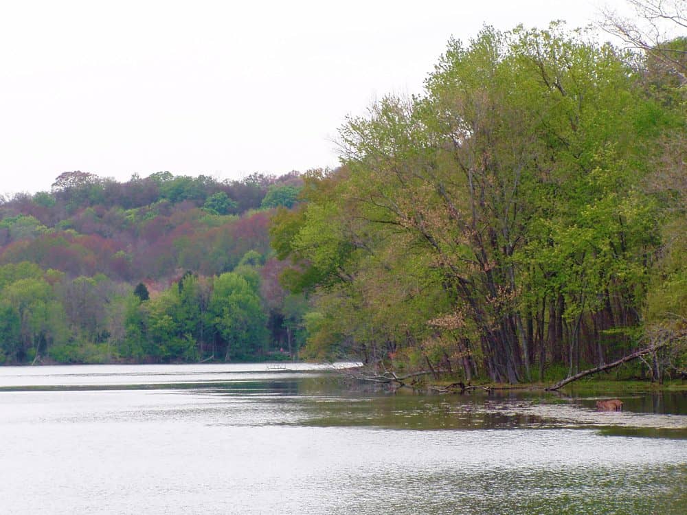 Radnor Lake State Park & Natural Area