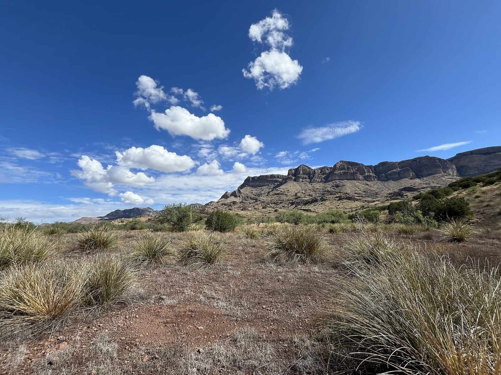 Redfield Canyon Wilderness