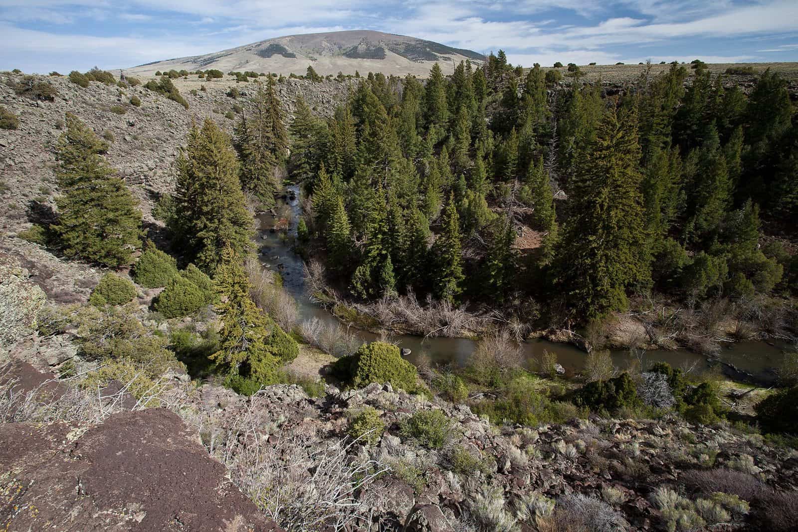 San Antonio Wilderness Study Area