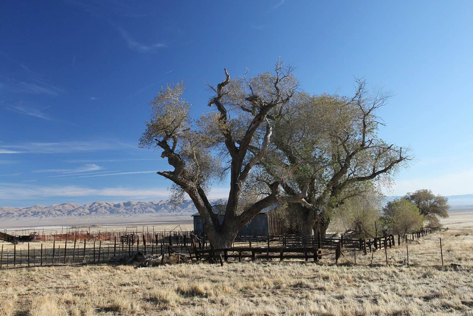 Saucito Ranch