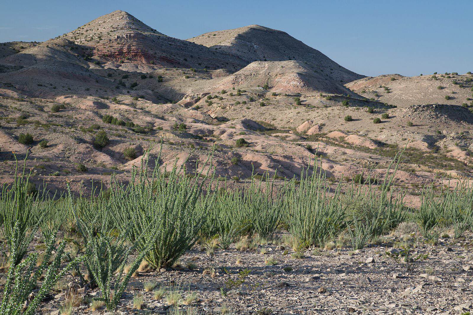 Sierra de las Canas Wilderness Study Area