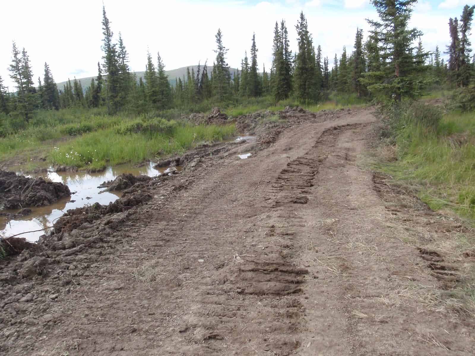 Swede Lake Trail