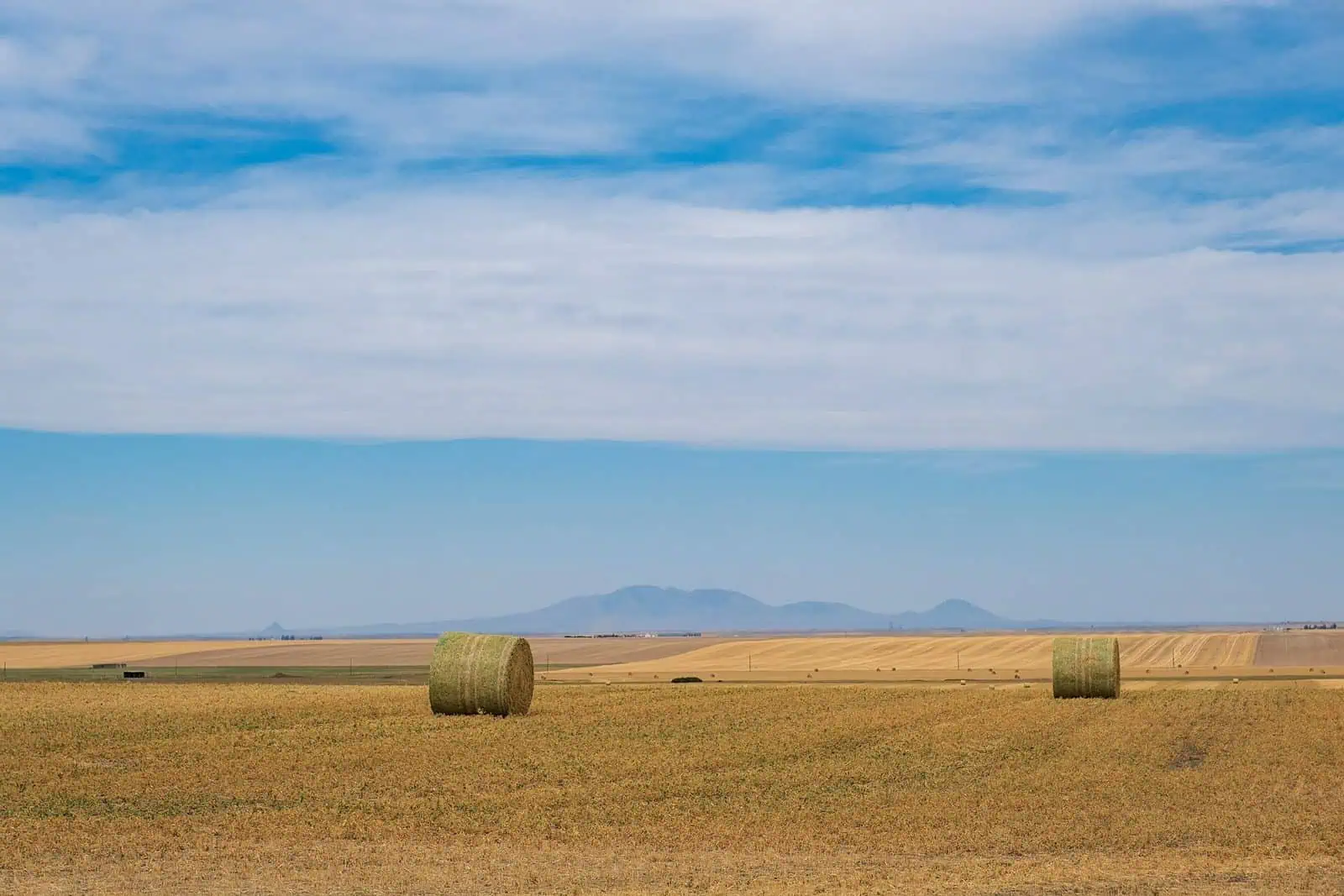 Sweet Grass Hills