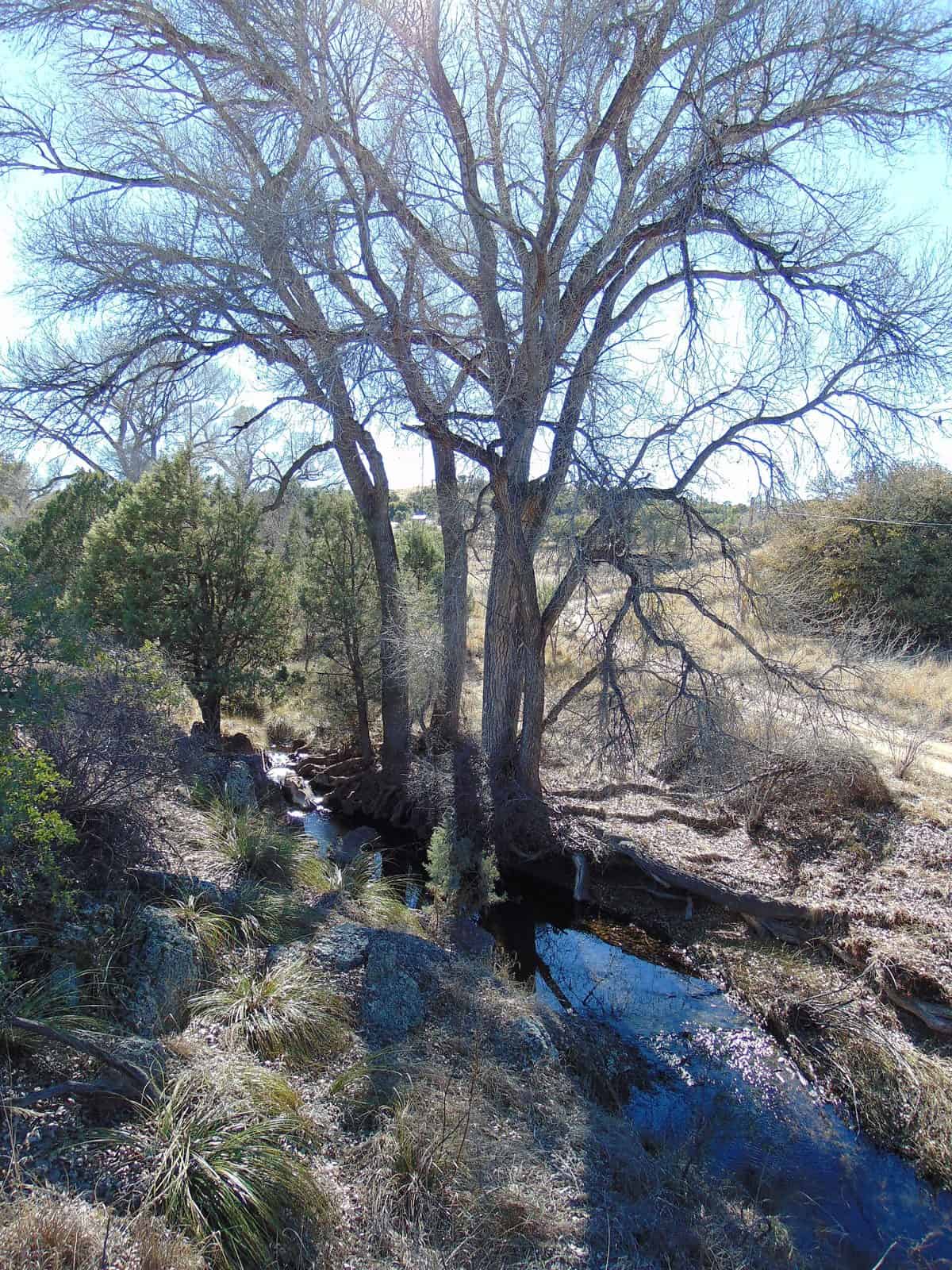 Turkey Creek