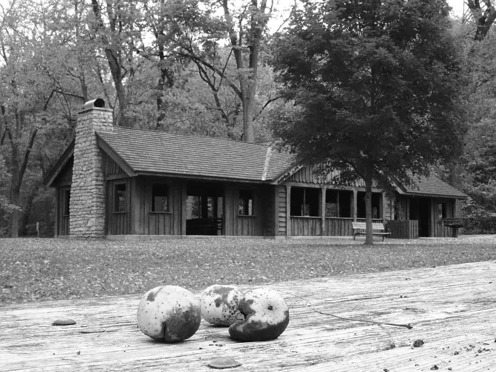 Van Meter State Park