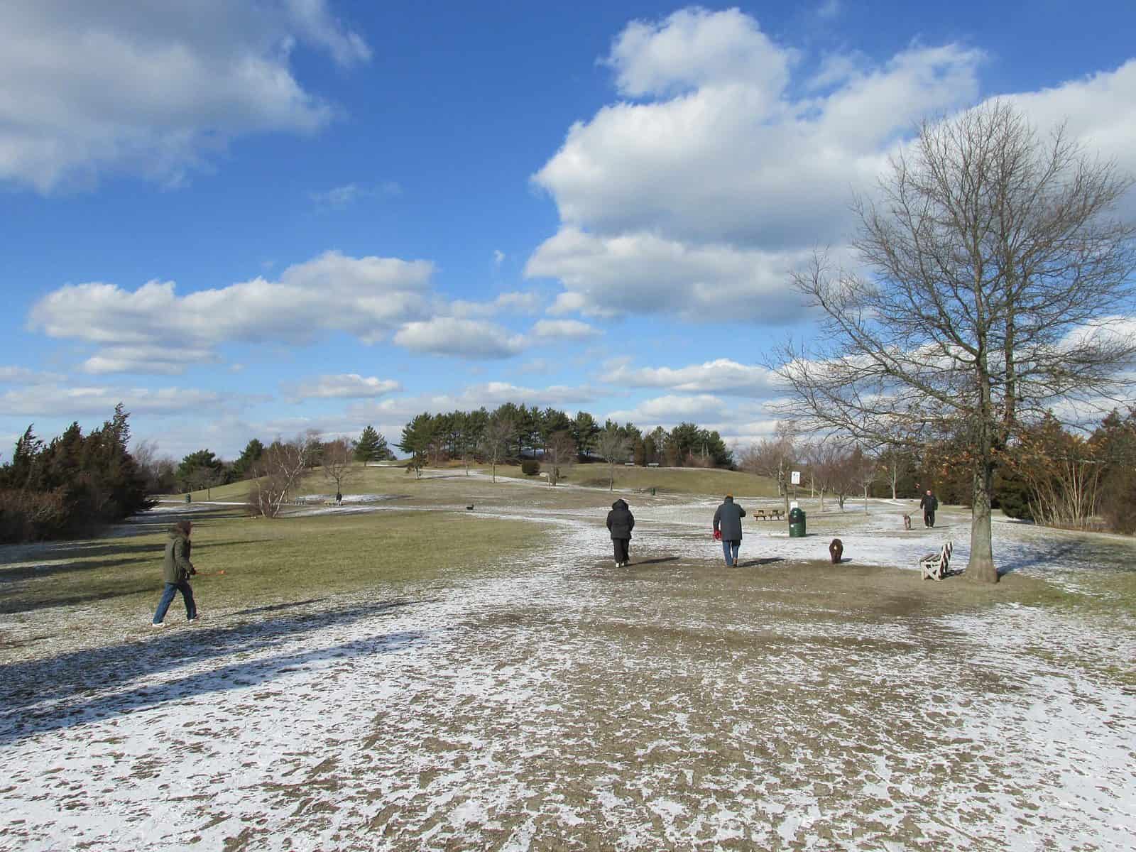 Weymouth Back River Reservation