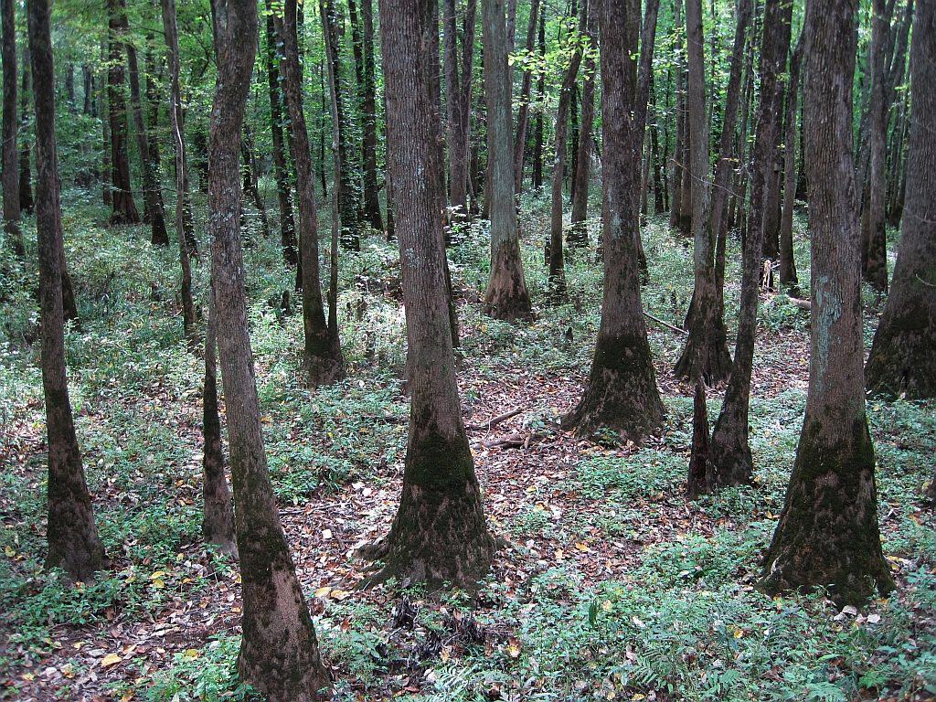 William B. Clark Conservation Area